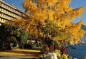 Royal Plaza Montreux and Spa